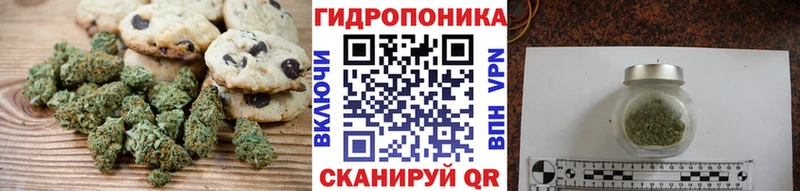 Купить где  Чекалин  Canna-Cookies марихуана 