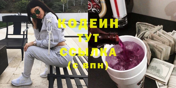 прущие крисы Инта