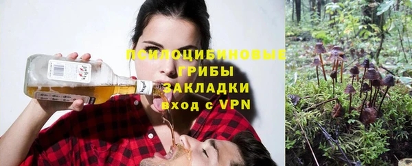мет Инсар