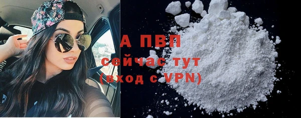 прущие крисы Инта