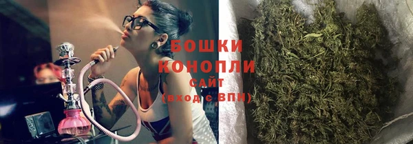 мет Инсар
