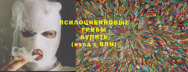 мет Инсар