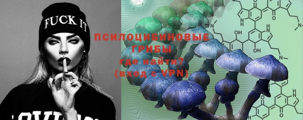 прущие крисы Инта
