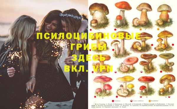 MESCALINE Иннополис